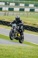 Lower Group Black Bikes
